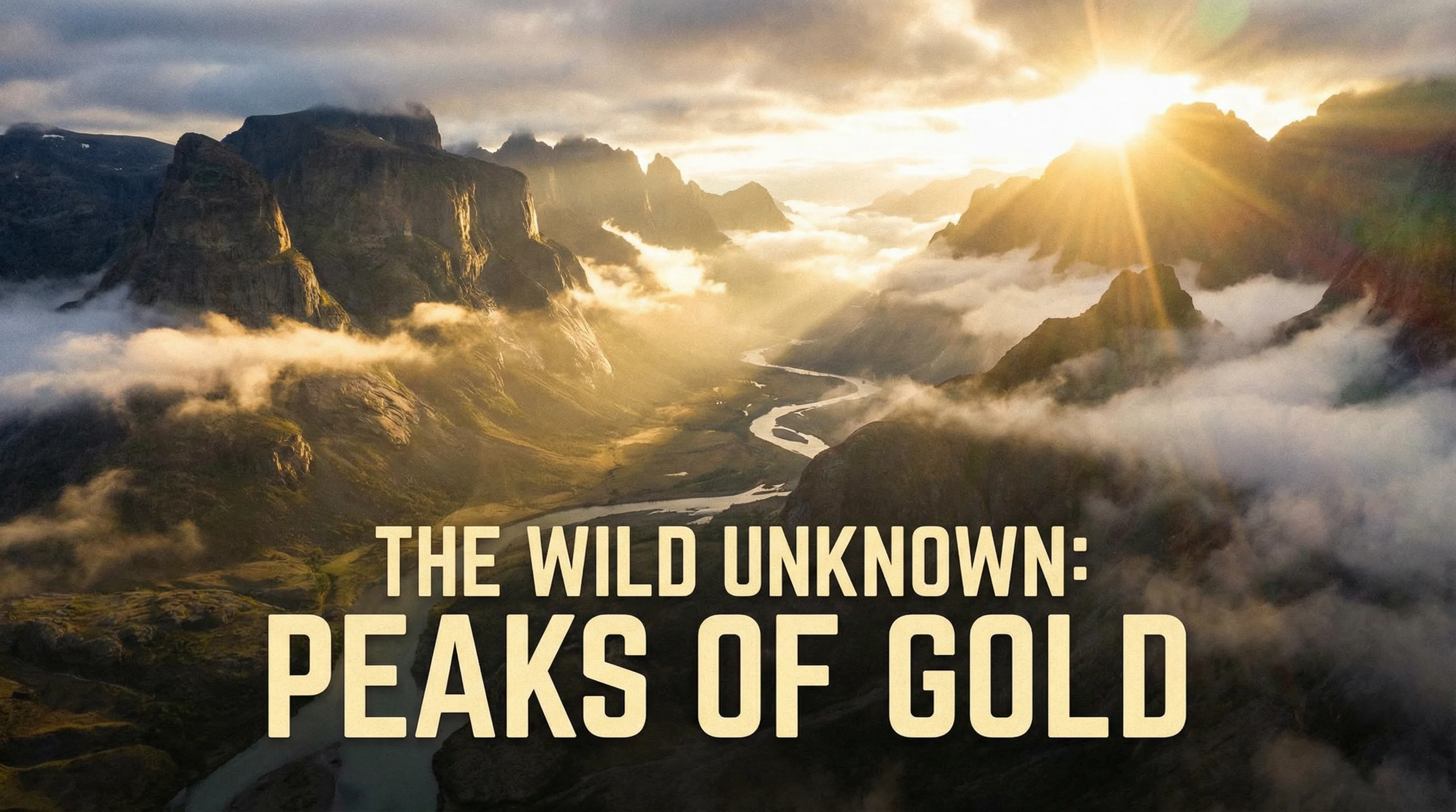 国产自拍四虎影院特色内容